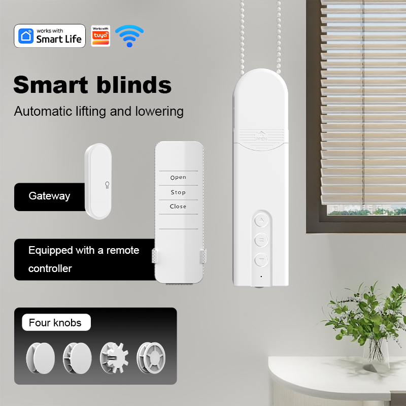 Home Automation Technology - WiFi 전기 블라인드 롤러 모터 Alexa