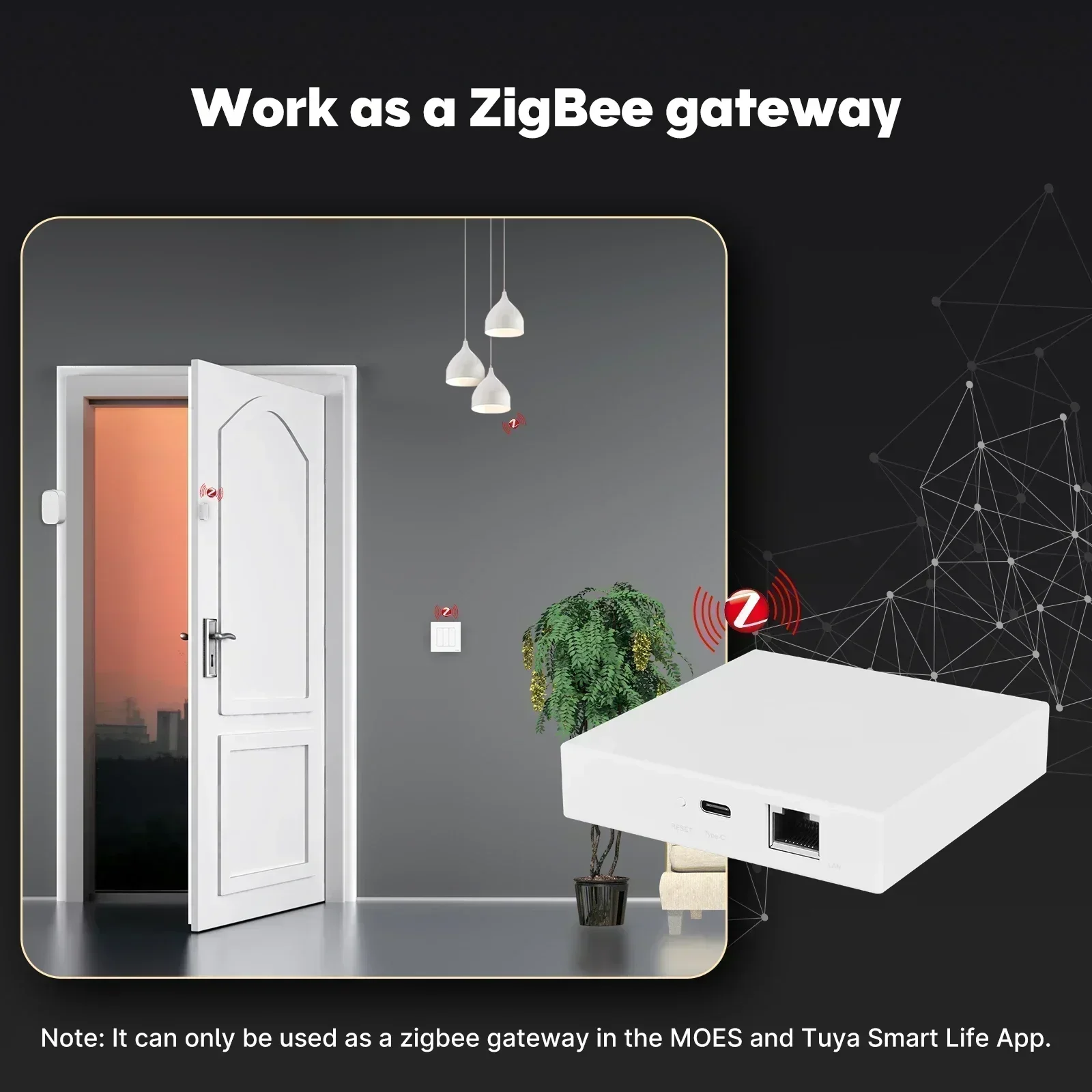 MOES Tuya Zigbee Matter 스레드 게이 - Matter Hub Thread 리뷰 및 가격