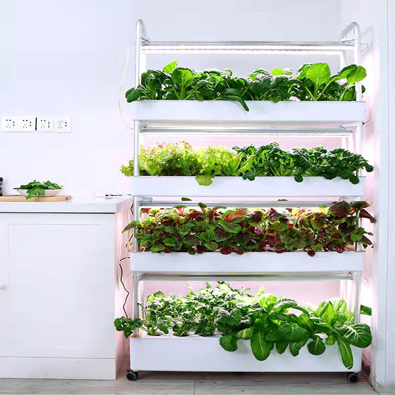 수경재배 시스템 스마트 홈 자동화 시스템 판매중 인기  - Diy Home Automation System 리뷰 및 가격